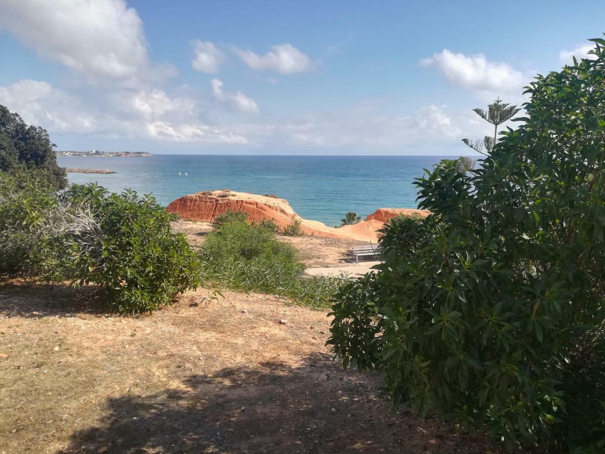 Appartamento Cabo Roig Bellavista III Esterno foto